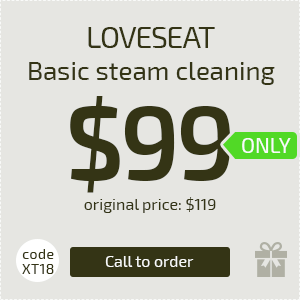 Loveseat Sofa - Basic steam cleaning, Only $99