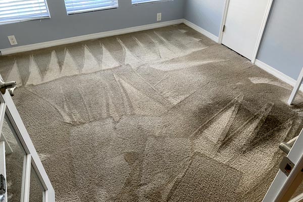 Top Myths About Carpet Cleaning
