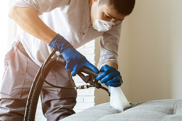 fabric steam cleaning