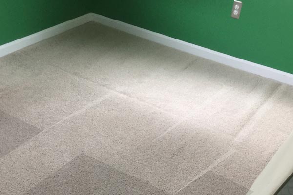 Steam Carpet Cleaning Loch Hill