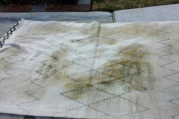 Water Damage Rug Cleaning
