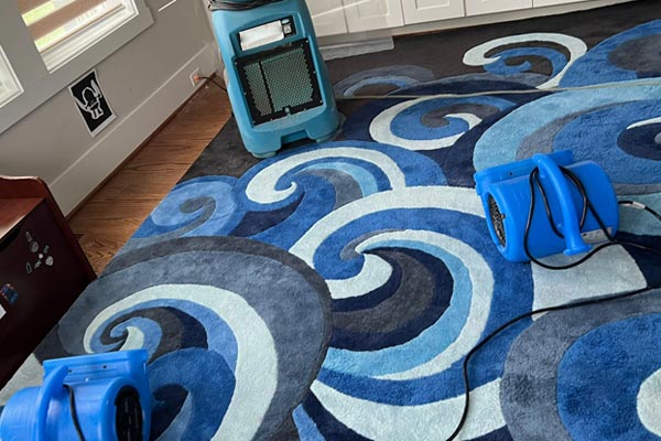 Professional Rug Cleaning After Water Damage